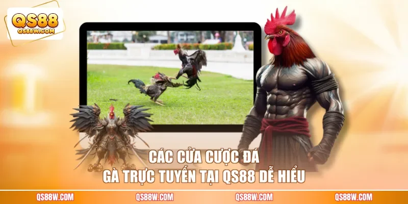 Các cửa cược đá gà trực tuyến tại QS88 dễ hiểu