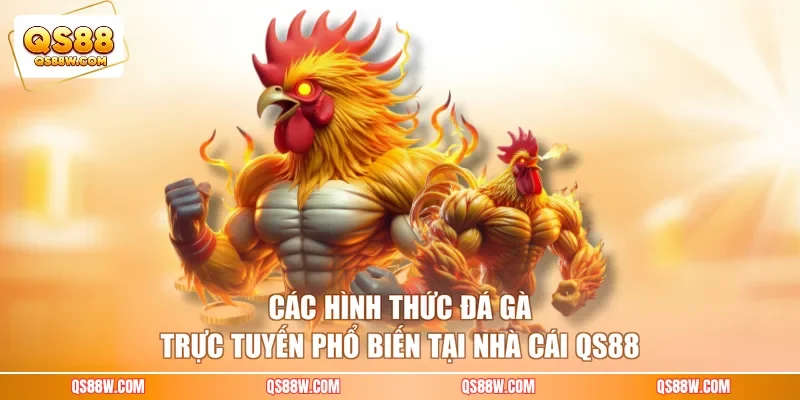 Các hình thức đá gà trực tuyến phổ biến tại nhà cái QS88 