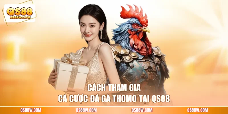 Cách tham gia cá cược đá gà Thomo tại QS88
