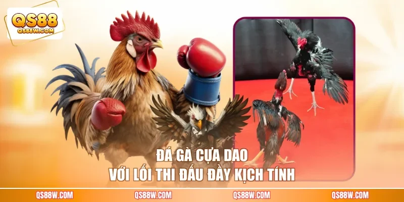Đá gà cựa dao với lối thi đấu đầy kịch tính