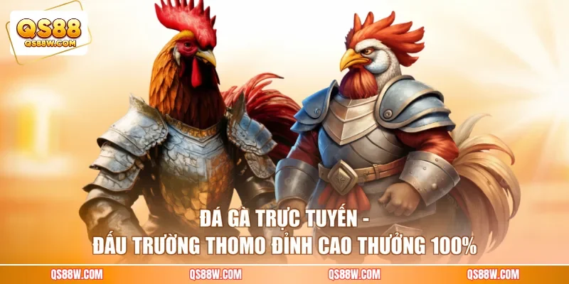 Đá Gà Trực Tuyến - Đấu Trường Thomo Đỉnh Cao Thưởng 100%