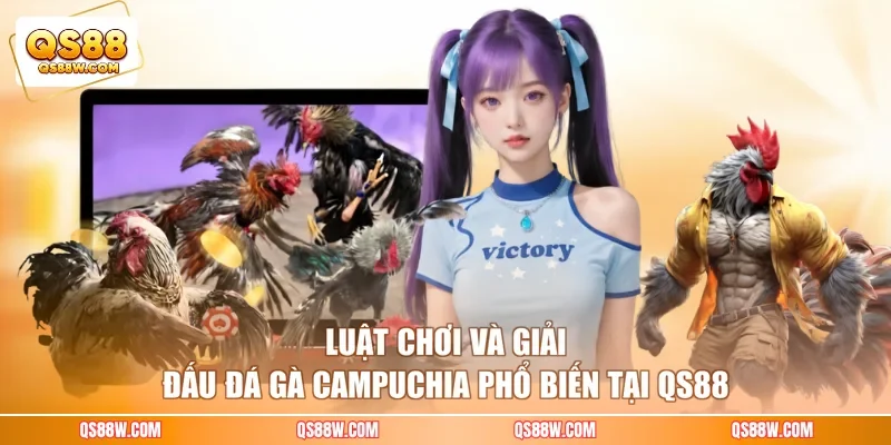 Luật chơi và giải đấu đá gà Campuchia phổ biến tại QS88