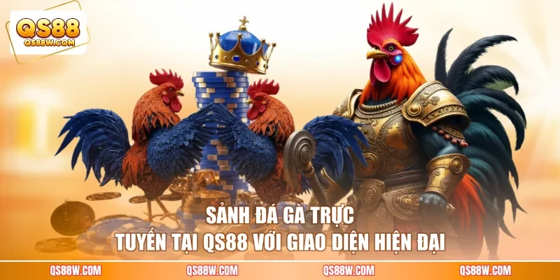 Sảnh đá gà trực tuyến tại QS88 với giao diện hiện đại